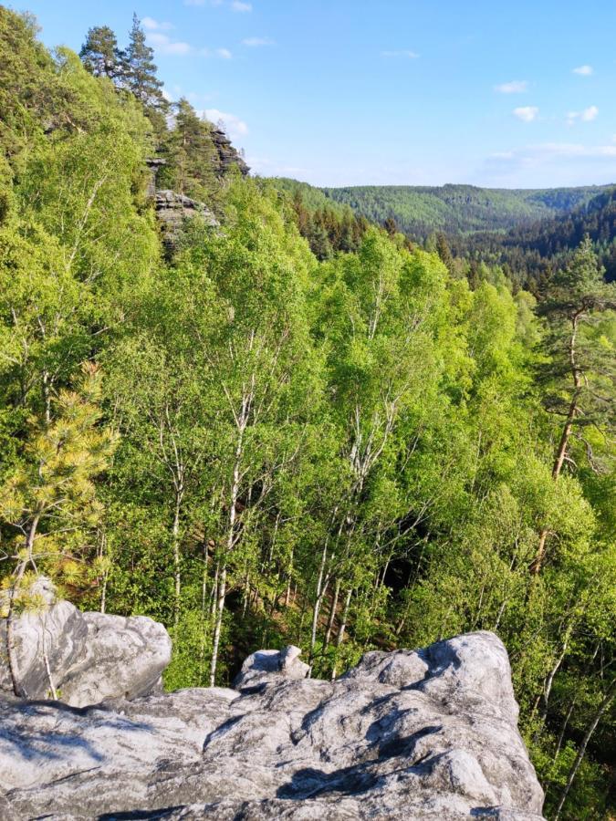 Ferienwohnung Saechsische Schweiz Rosenthal-Bielatal Экстерьер фото